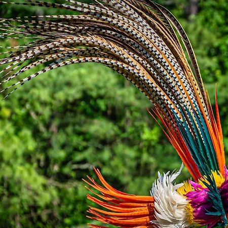 Caiman Lodge - Cuyabeno Nature Amazon Tour Exterior photo